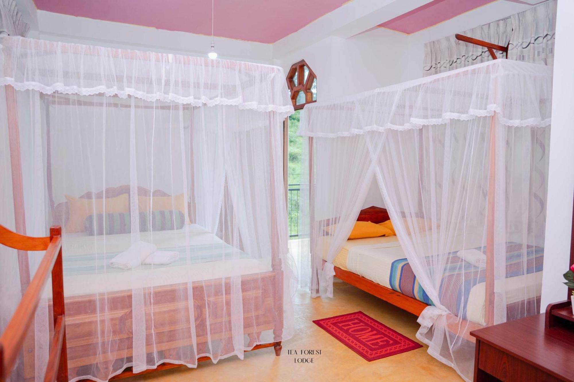 Triple Room View