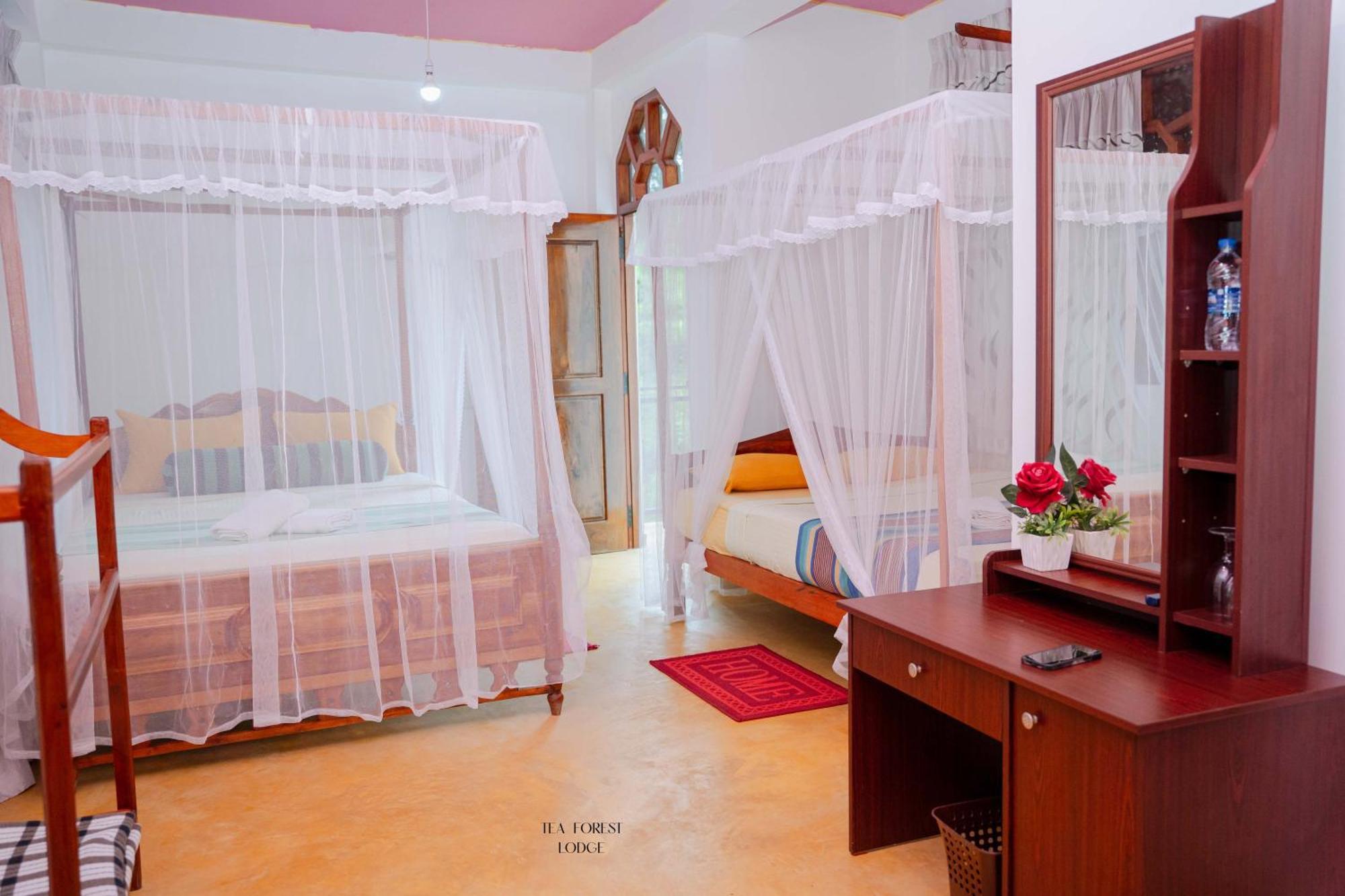 Triple Room View