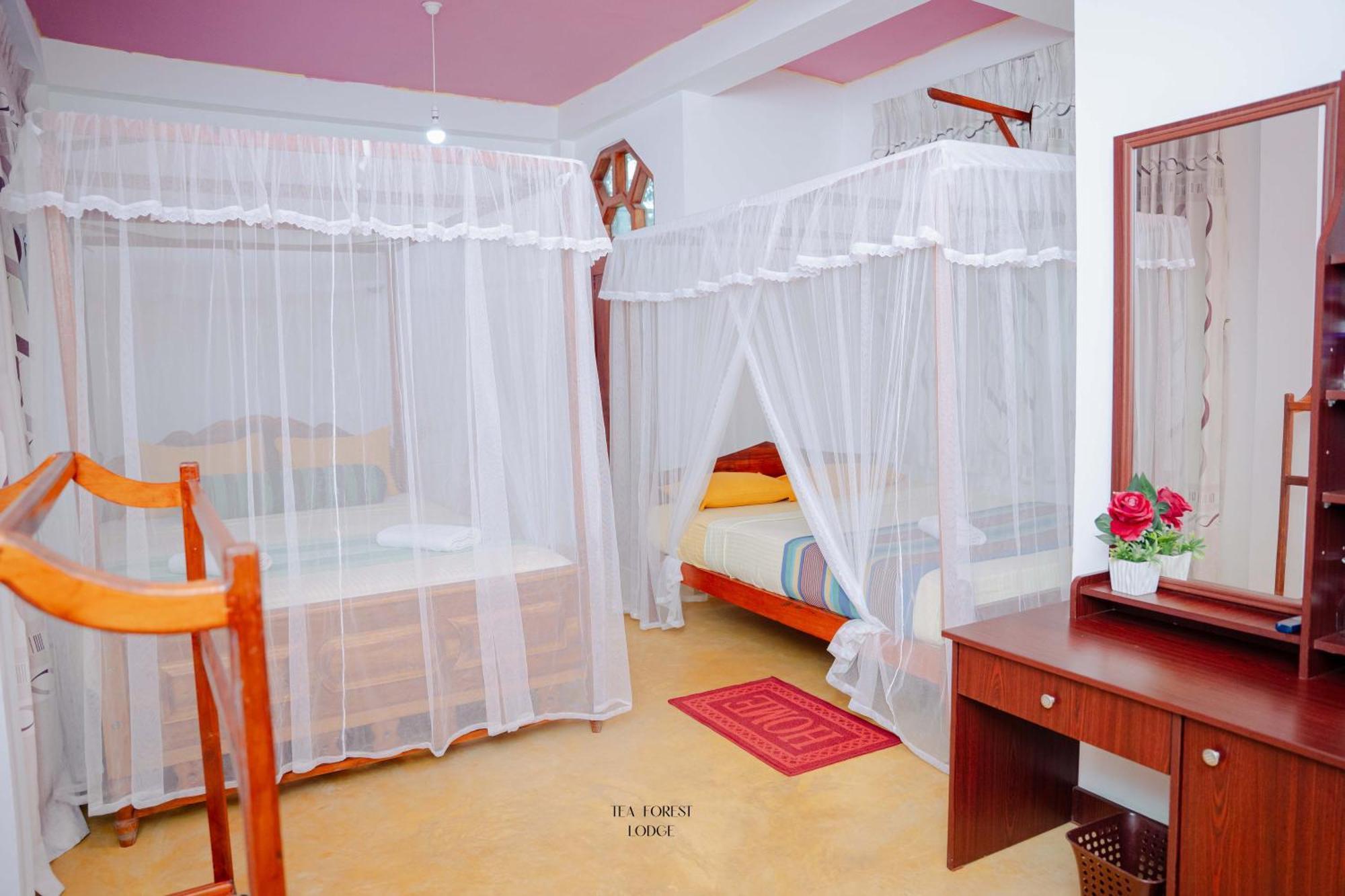 Triple Room View
