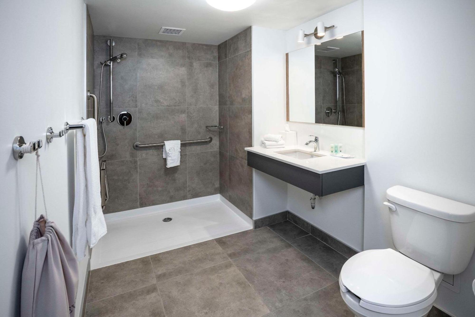 Deluxe King Room Accessible or No Pets or Non Smoking