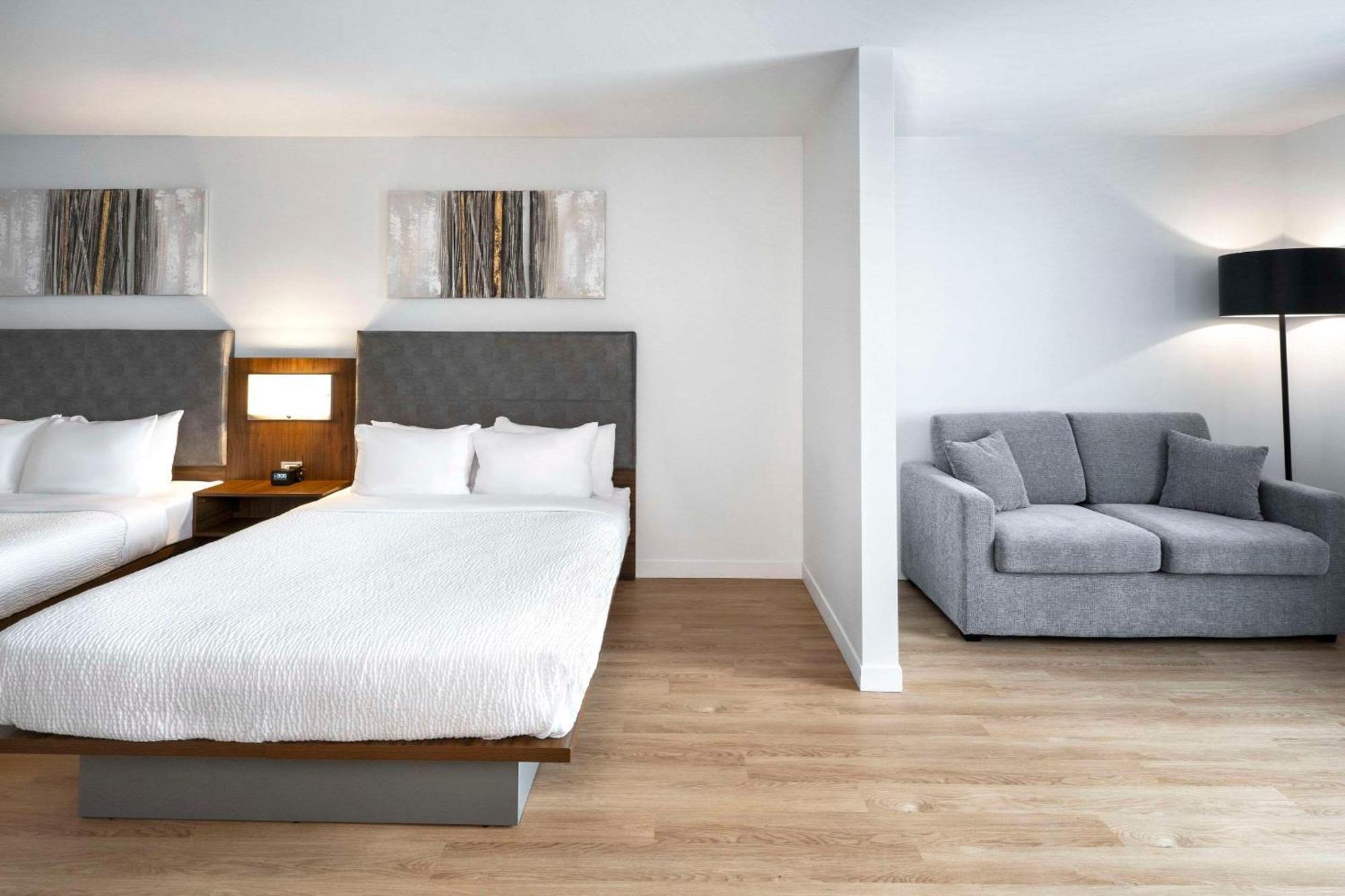Queen Suite Sofa Bed No Pets or Non Smoking