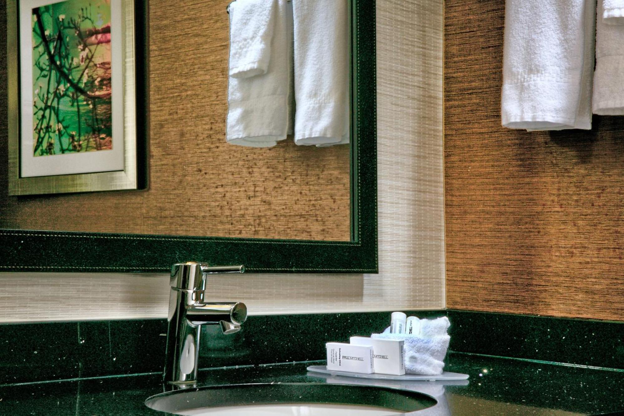 King Room with Roll-In Shower - Mobility Accessible