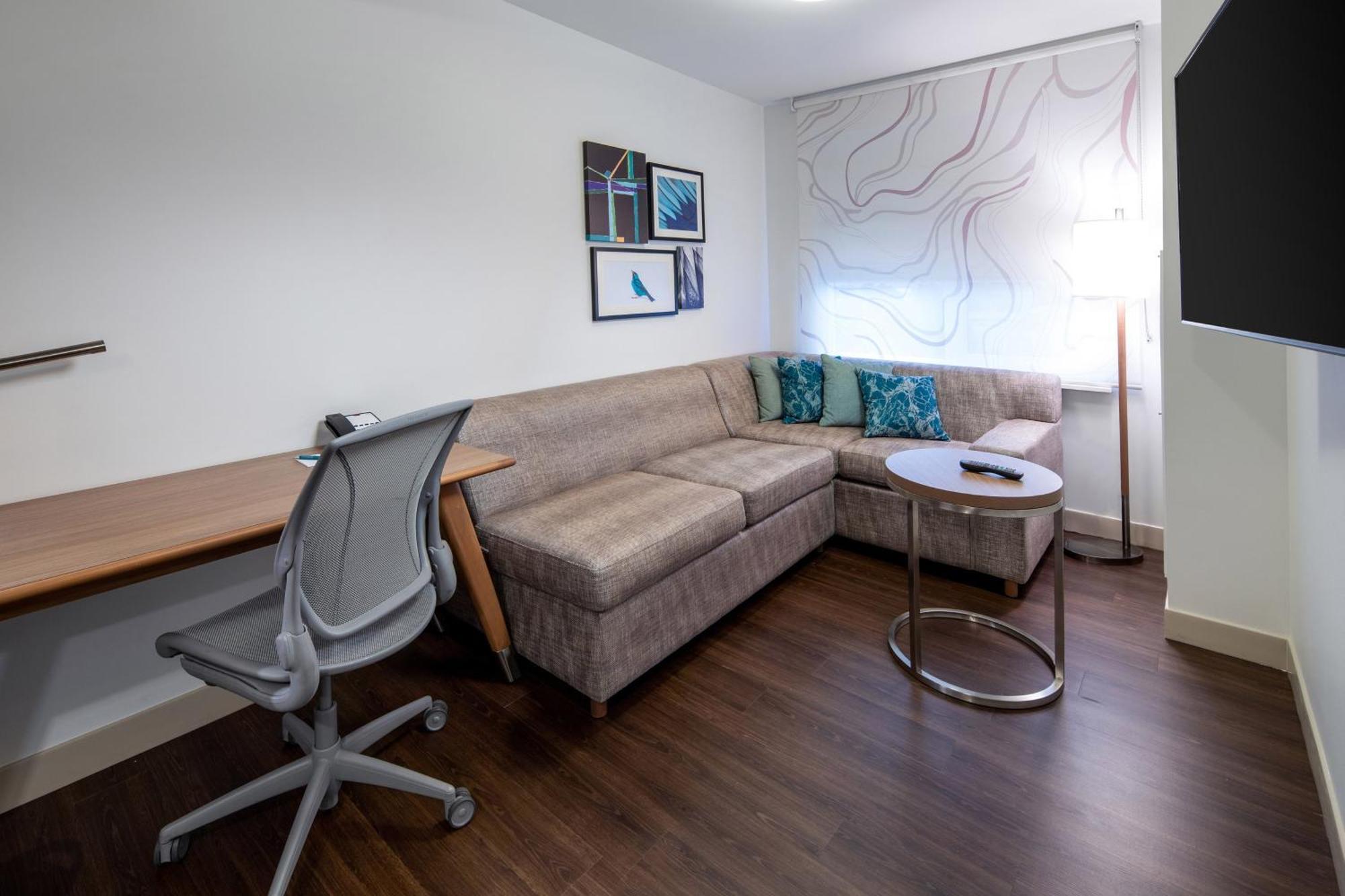 1 Bedroom Suite 1 King Sofa bed