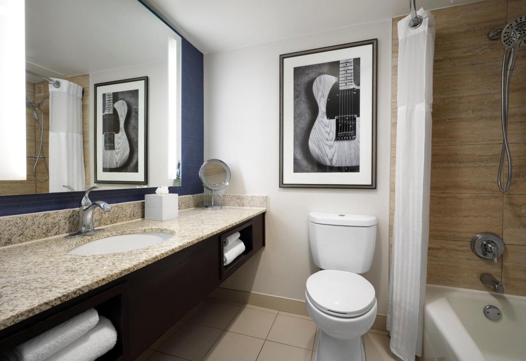 Standard King Room Roll Shower City View Mobility Hearing Accessible