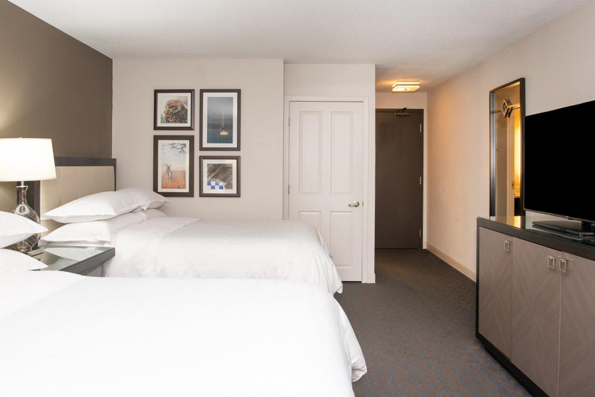 Traditional 2 Beds Guest room 2 Double