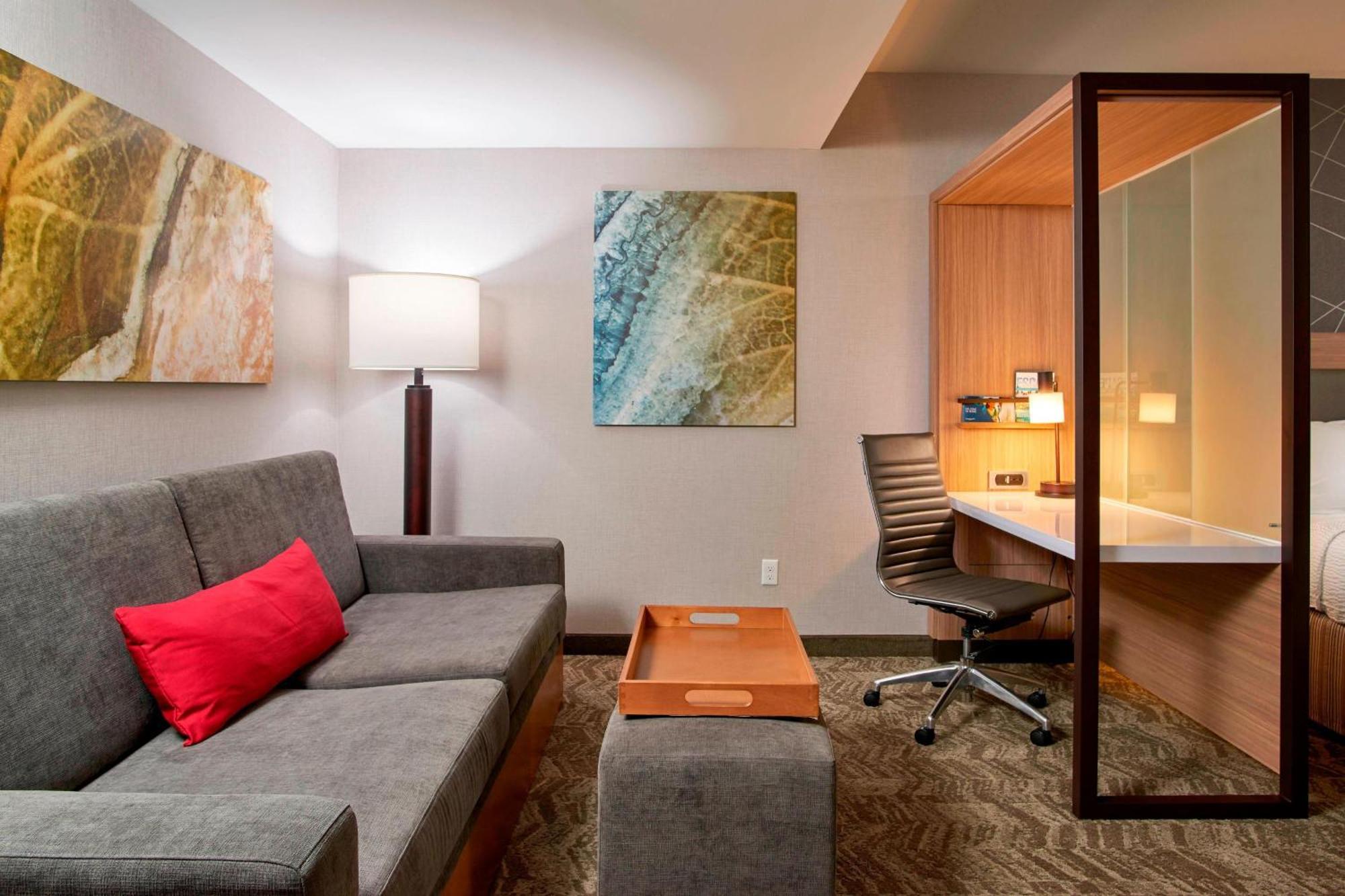 King Suite Bathtub Sofa Bed Mobility Access or Hearing Accessible