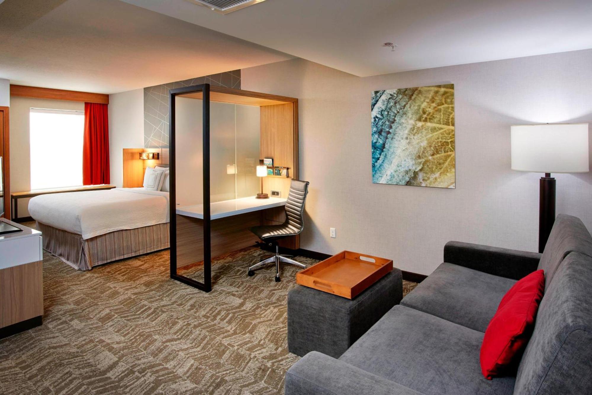 King Suite Bathtub Sofa Bed Mobility Access or Hearing Accessible