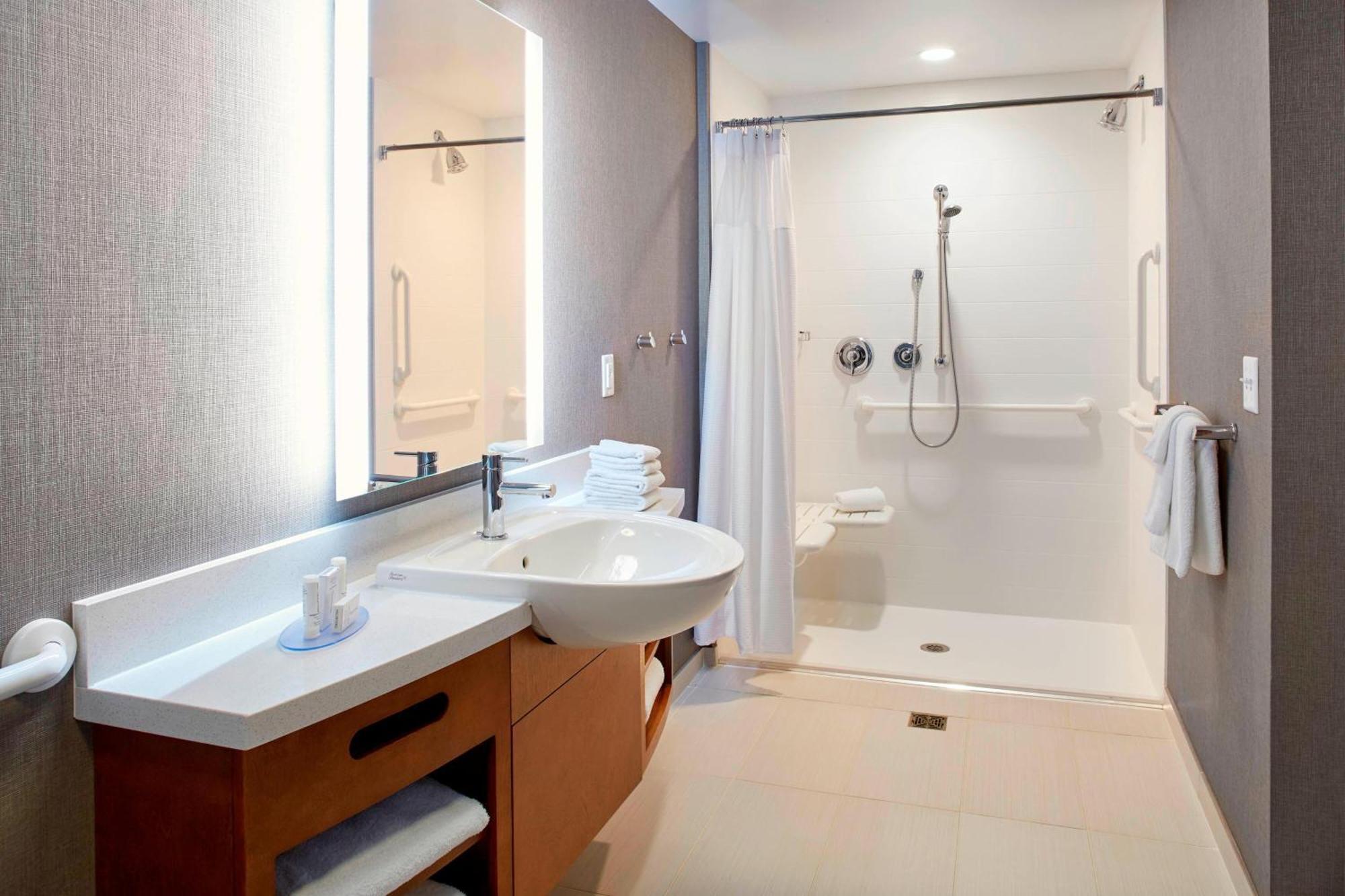 King Suite Bathtub Sofa Bed Mobility Access or Hearing Accessible