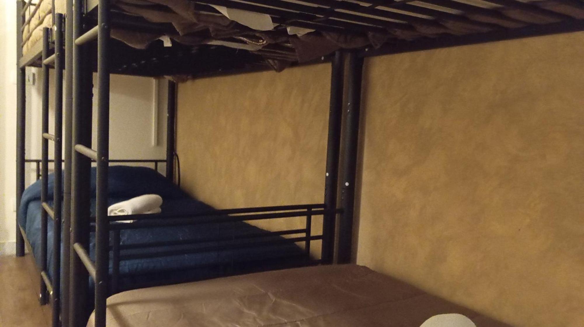 Bunk Bed Mixed Dormitory Room