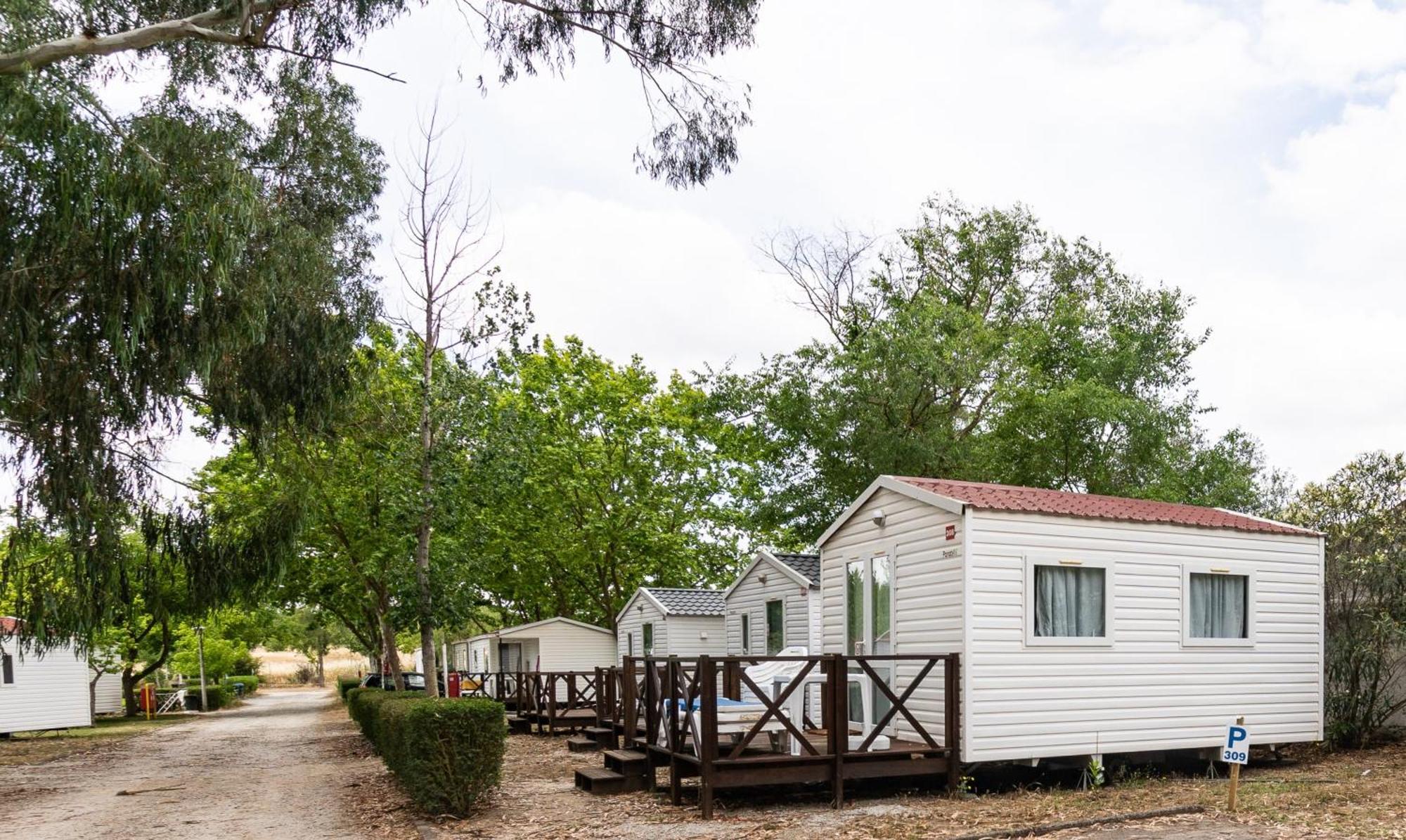 Mobile Home
