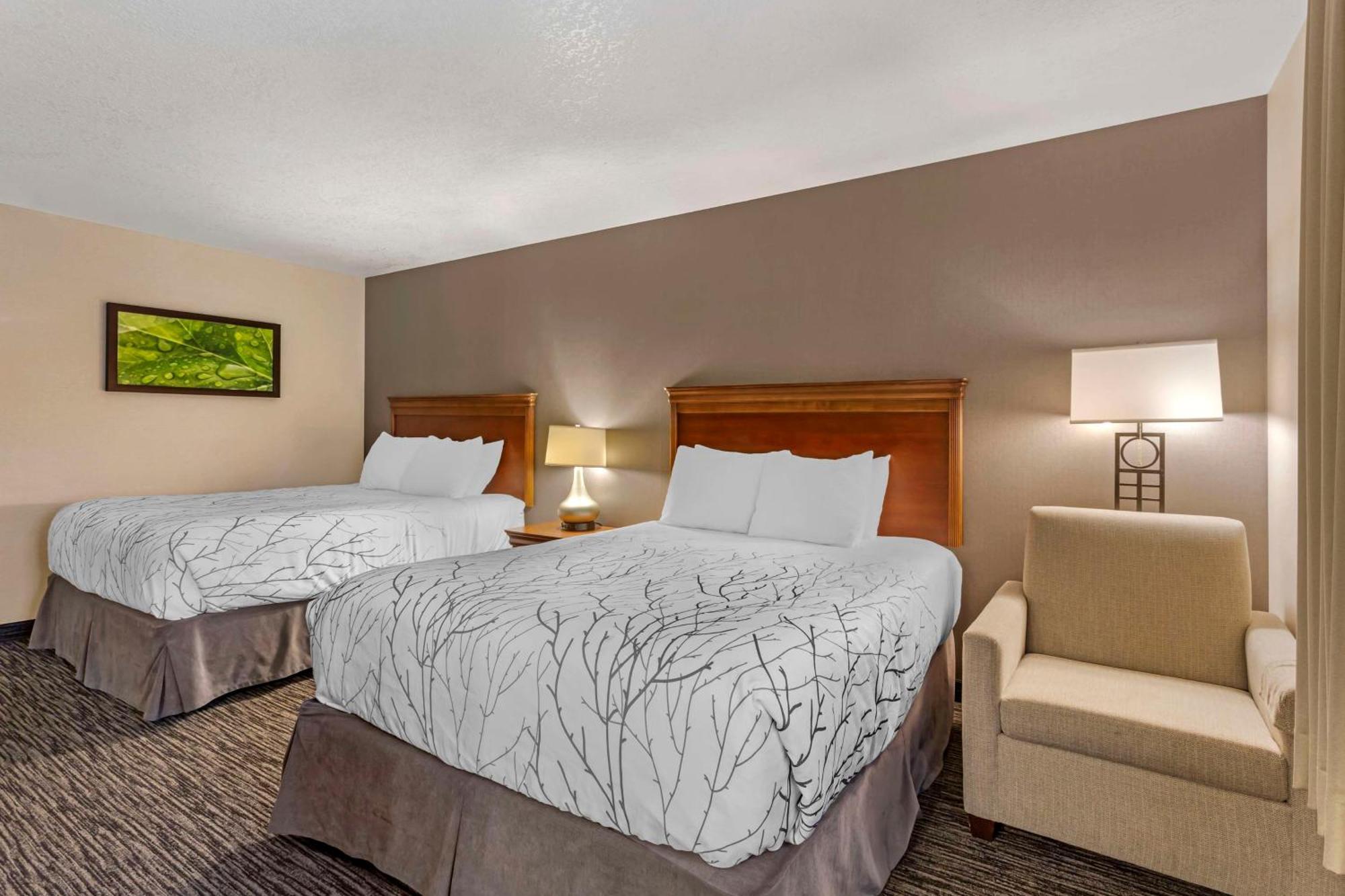 Queen Room Two Queen Beds Disability Access