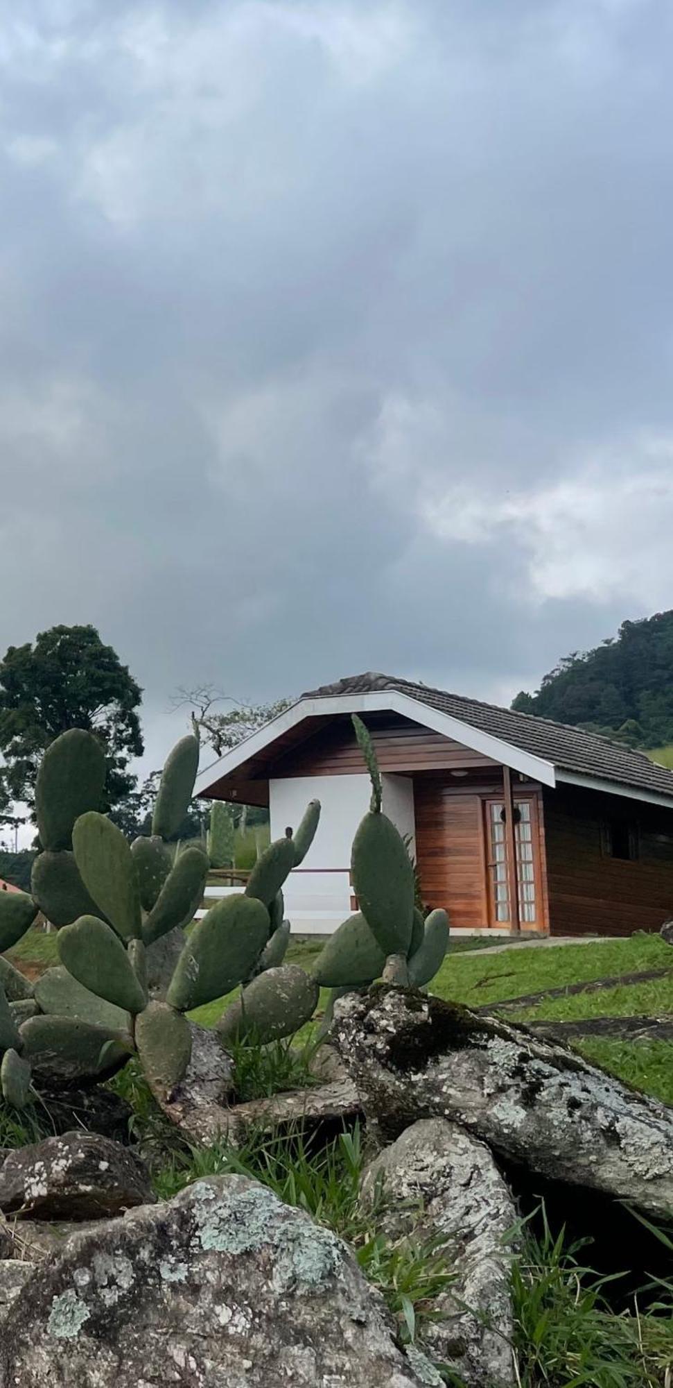 One-Bedroom Chalet