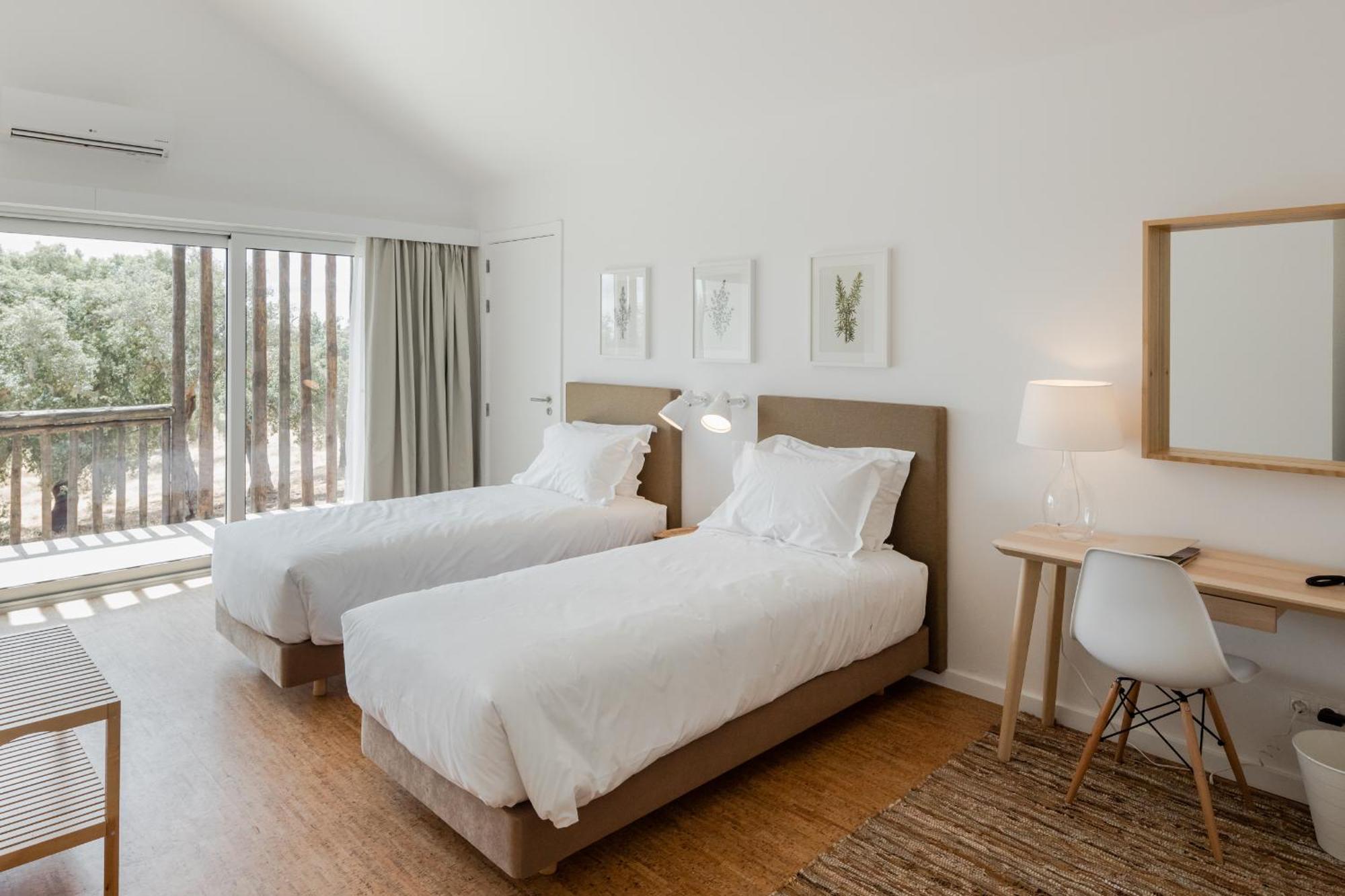 Twin Room Terrace