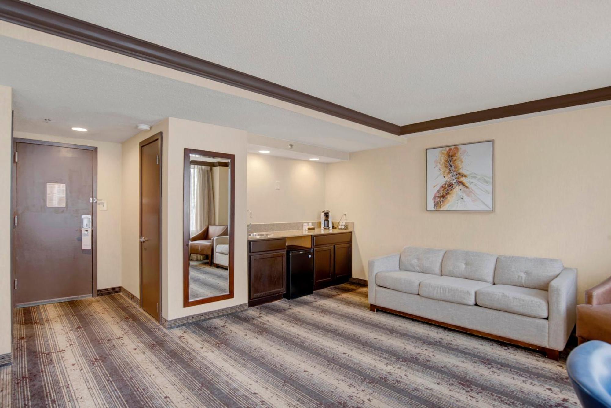 Standard King Room Sofa Bed