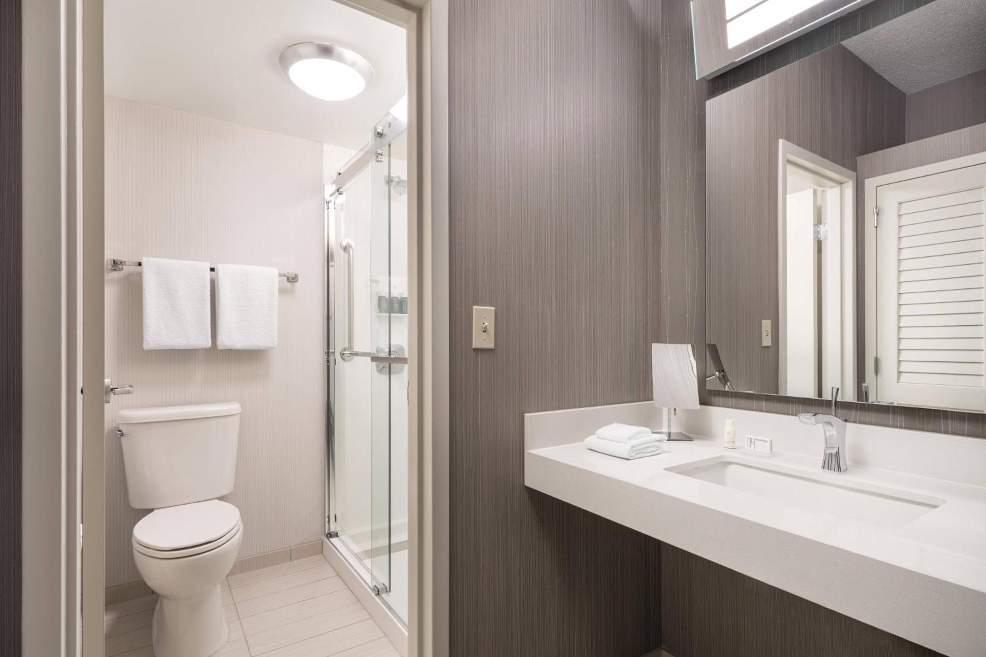 One-Bedroom King Suite