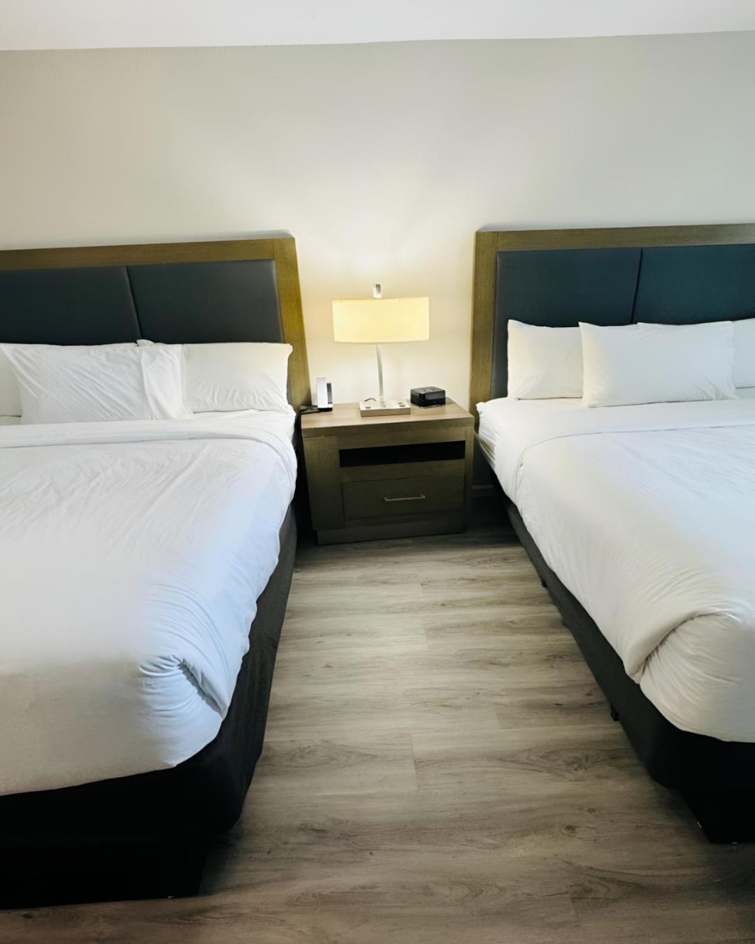Queen Room Two Queen Beds