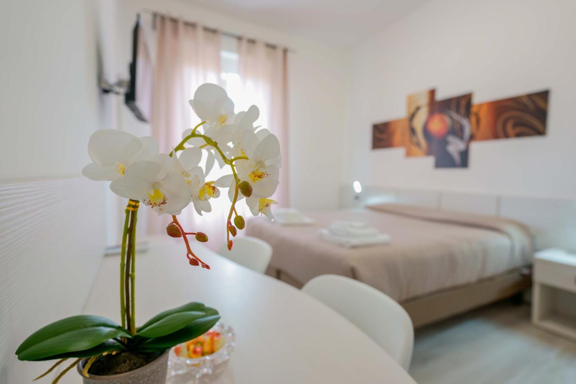 Double or Twin Room Private Bathroom