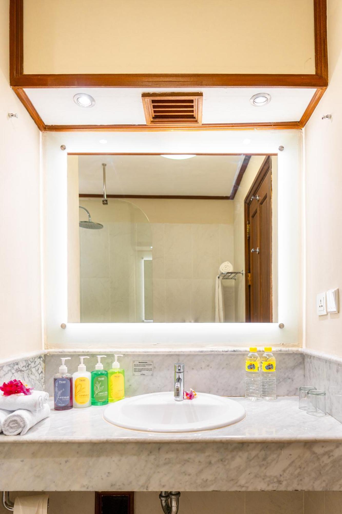 Superior Double or Twin Room