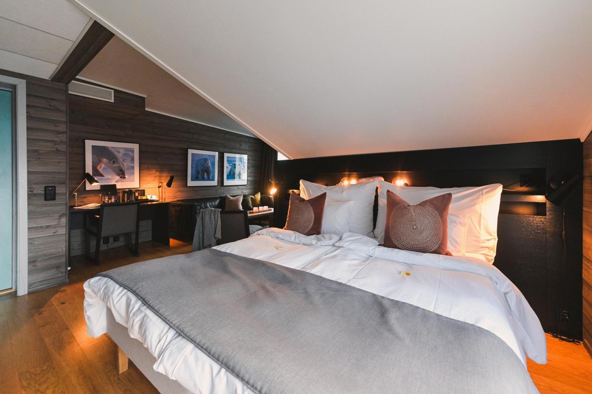 Polarbear Suite