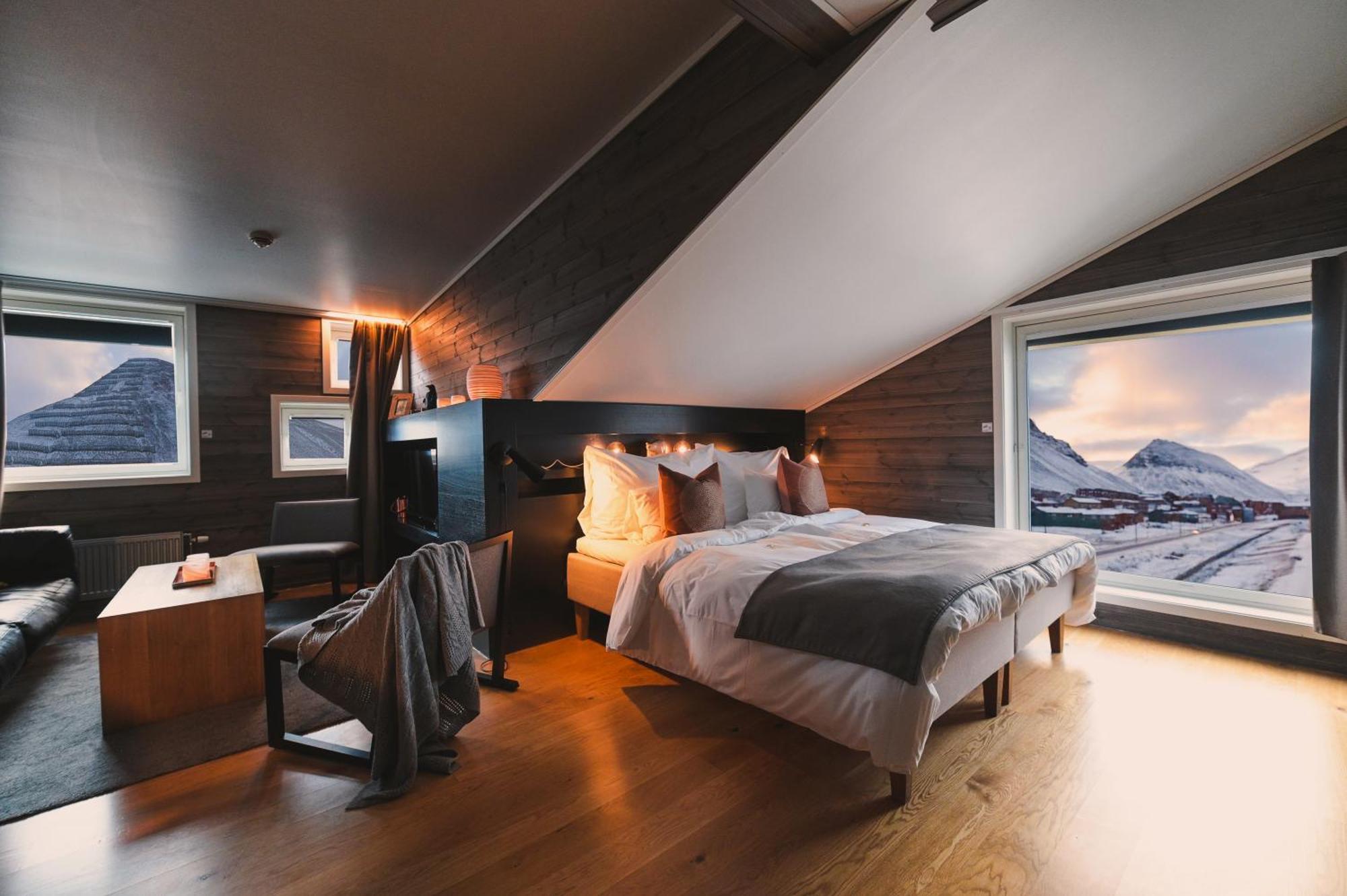 Polarbear Suite