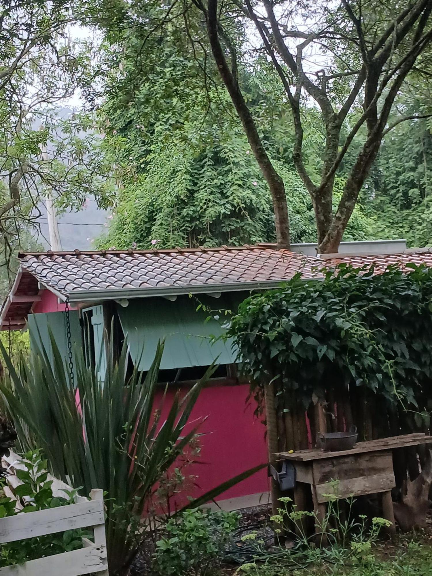 Bungalow Garden View