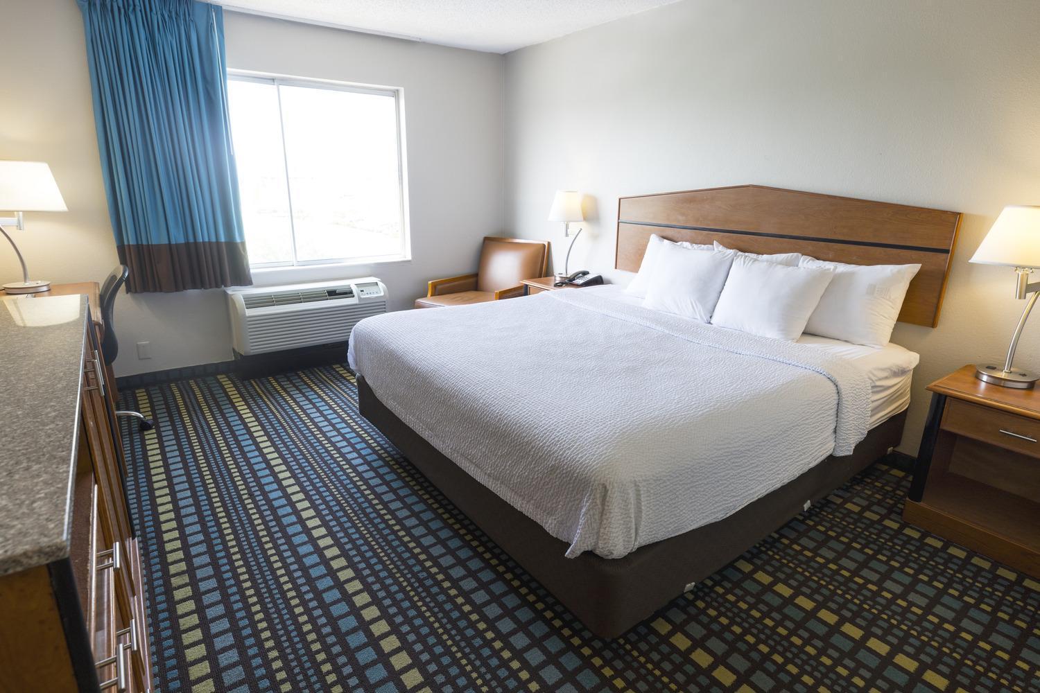 King Room Pet Friendly or Smoking