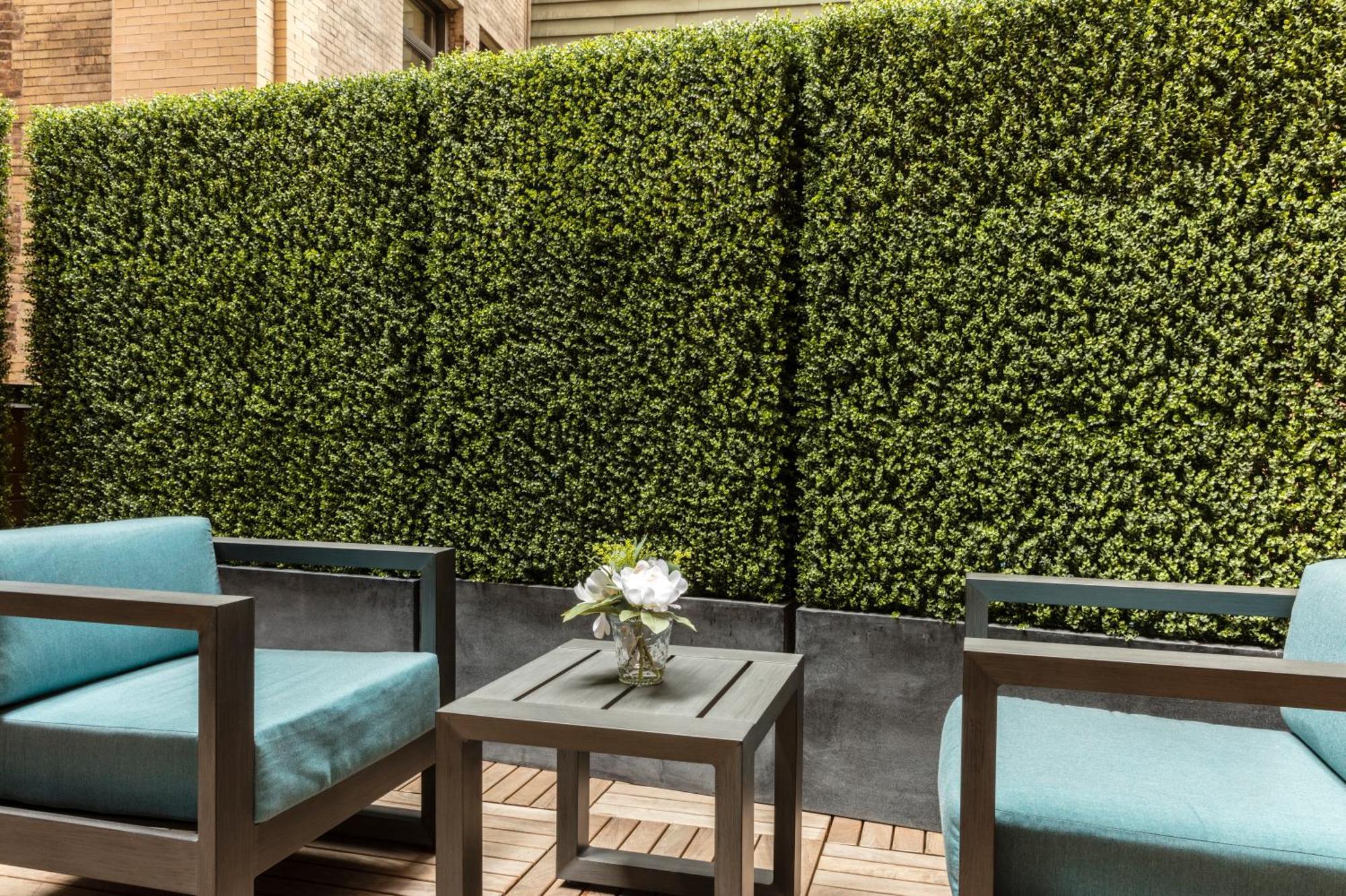 Deluxe Queen Room Terrace