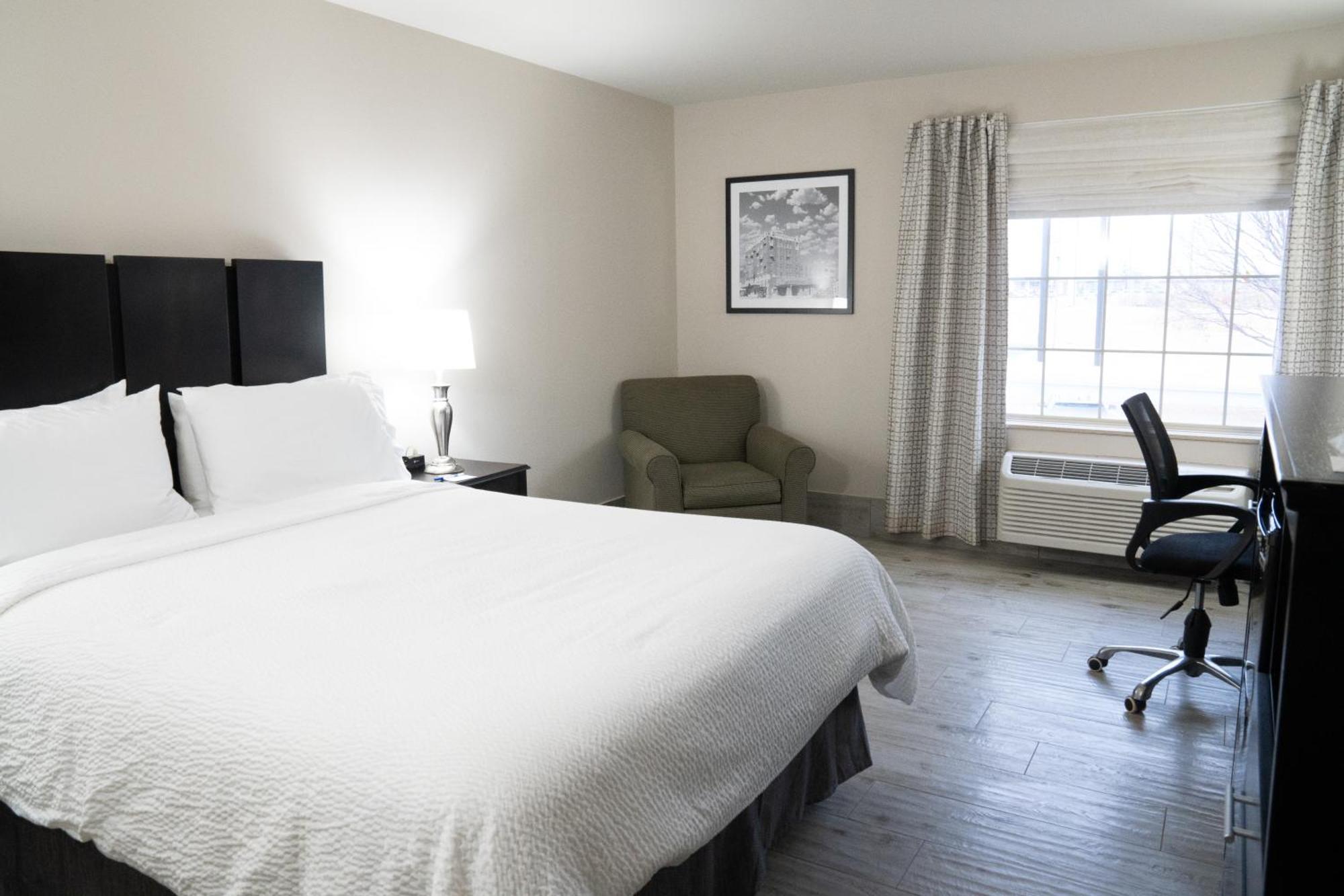 Standard King Room