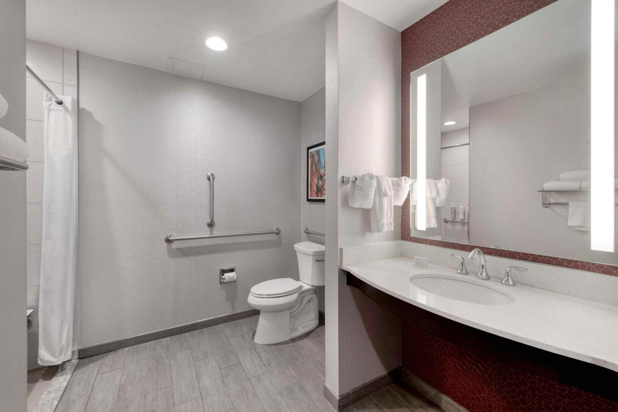 King Room Transfer Shower Mobility Access
