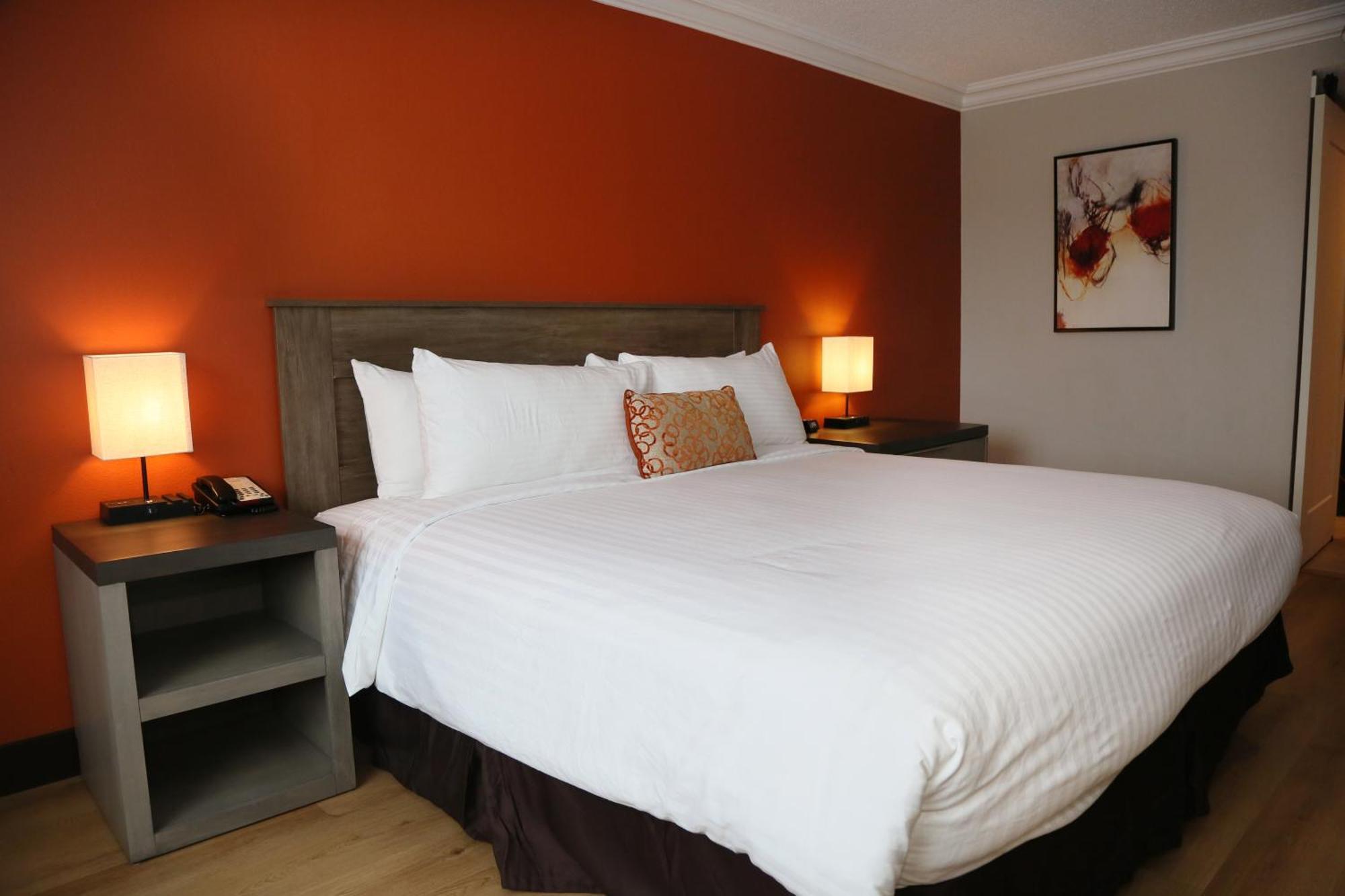 Deluxe King Room