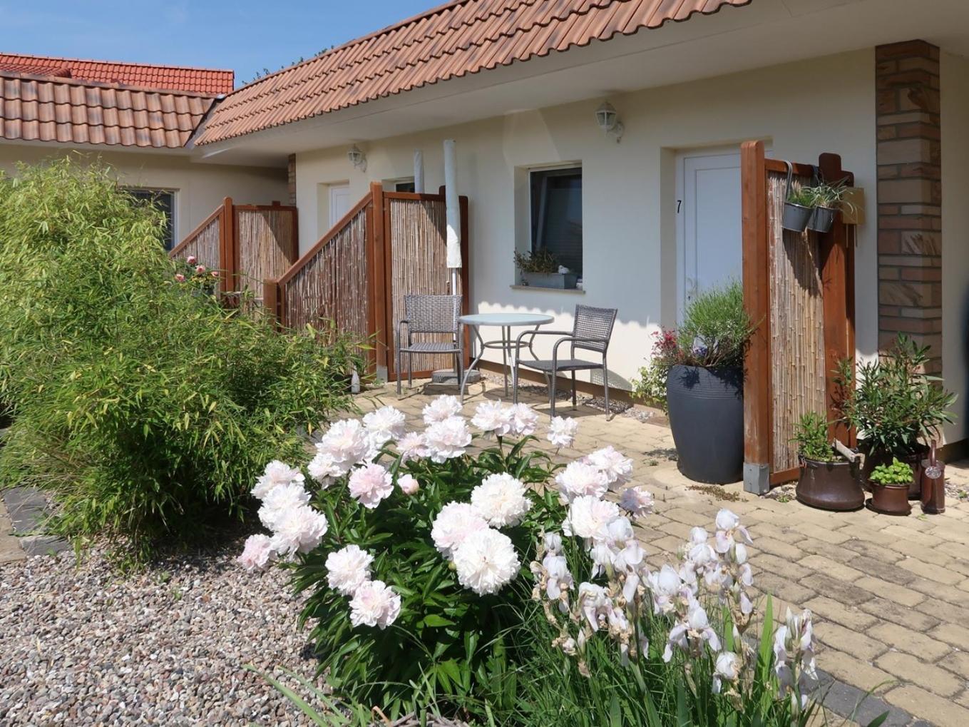 Junior Suite mit Terrasse