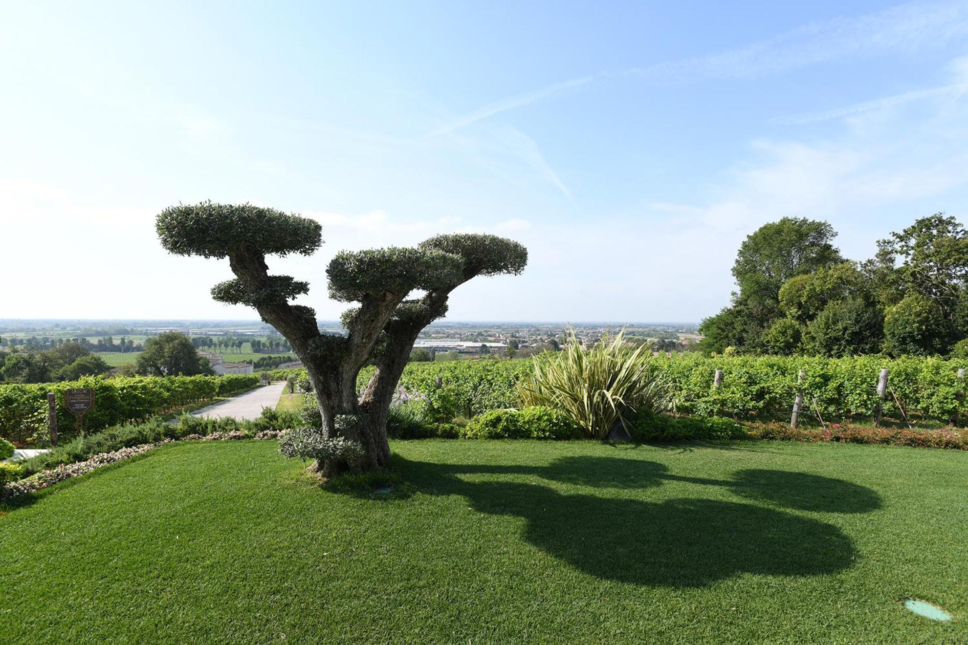 Apartment Terrace