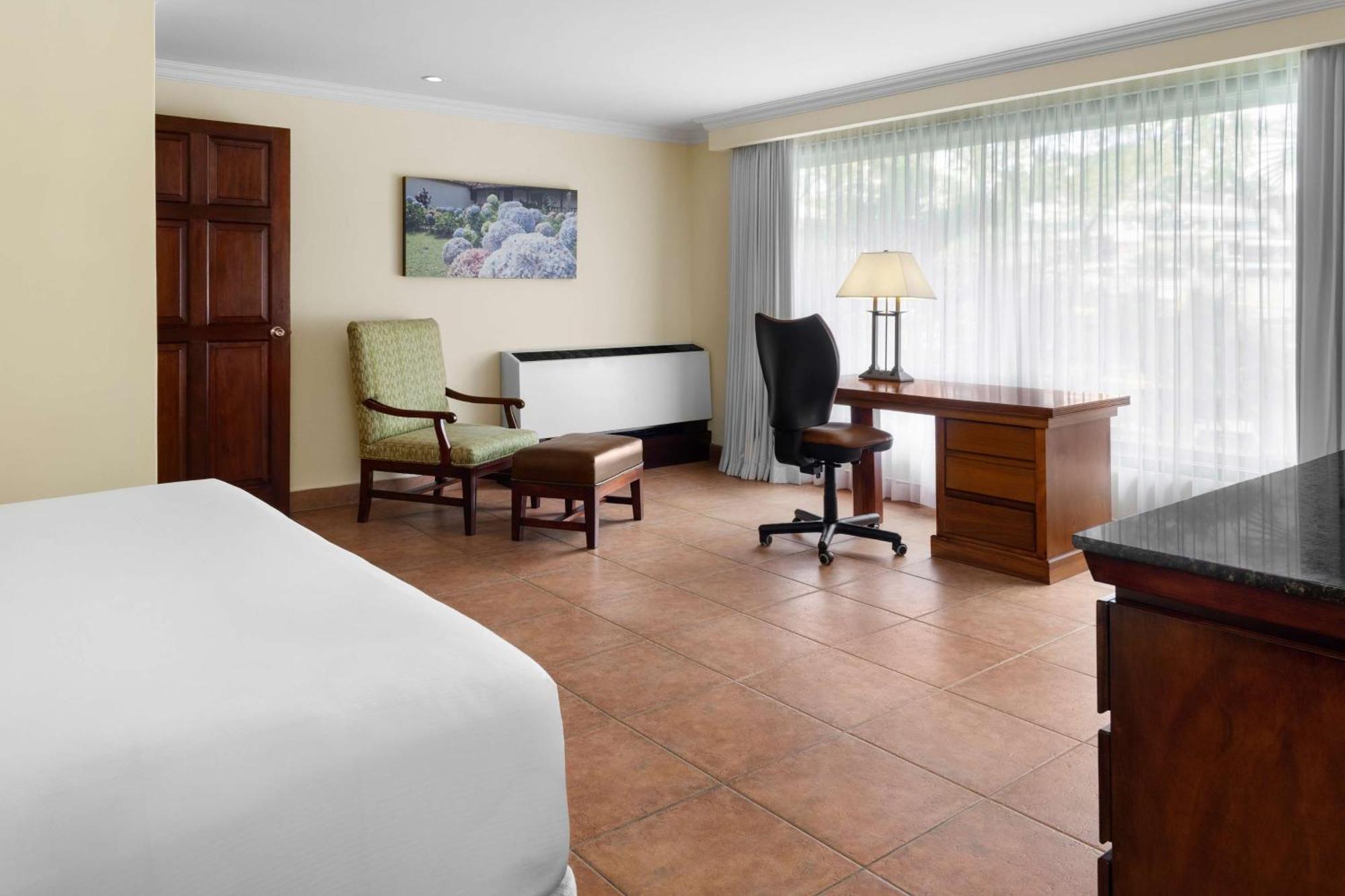 Junior Suite 1 King Bed Lounge Access