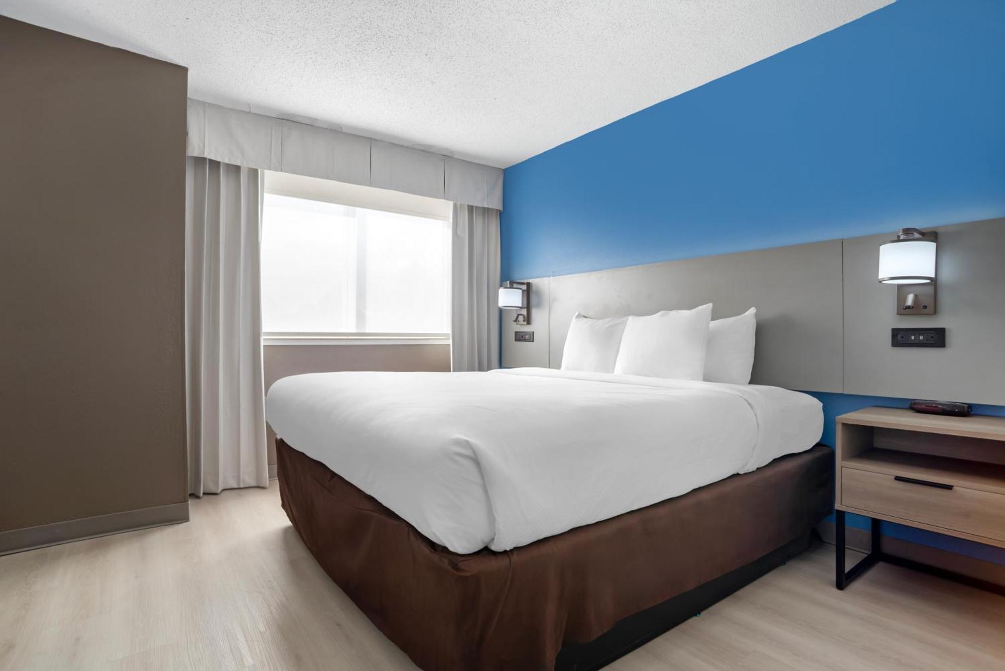 1 King Bed Suite 2 Person Sofabed