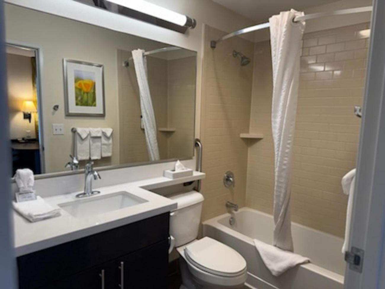 King Studio Suite River View
