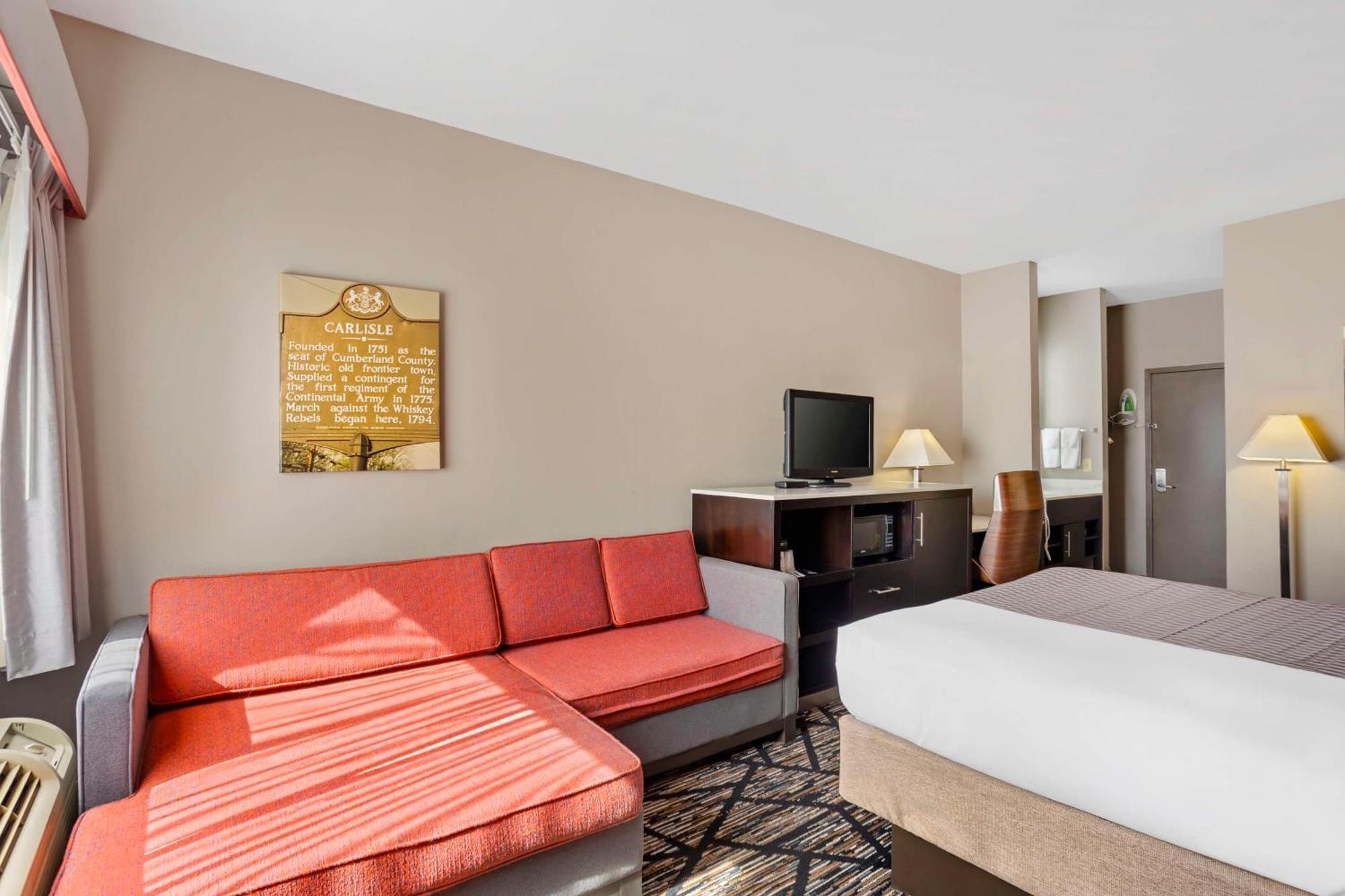 Queen Room Pet-Friendly or Non-Smoking