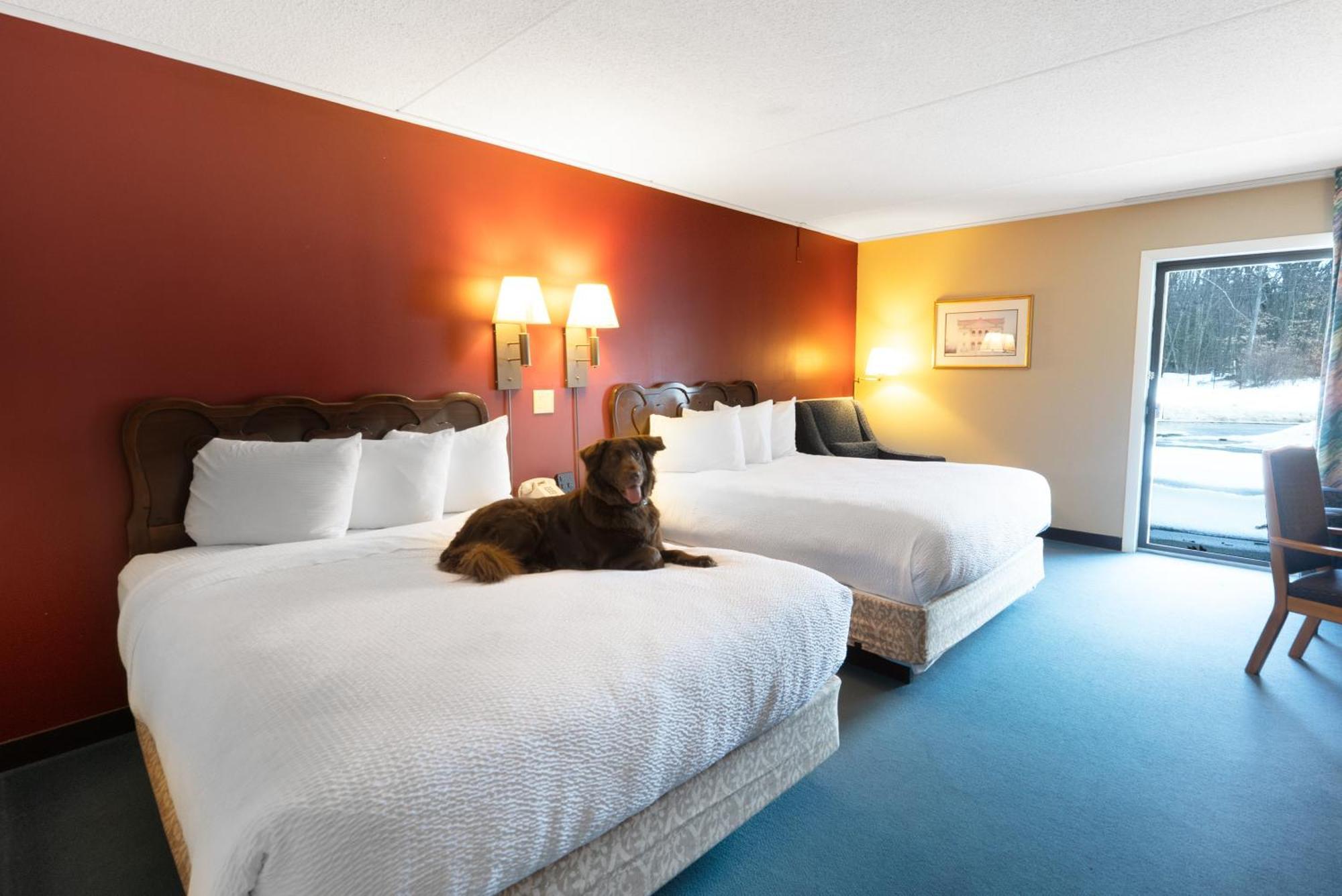 Two Queen | Pet-Friendly | Patio