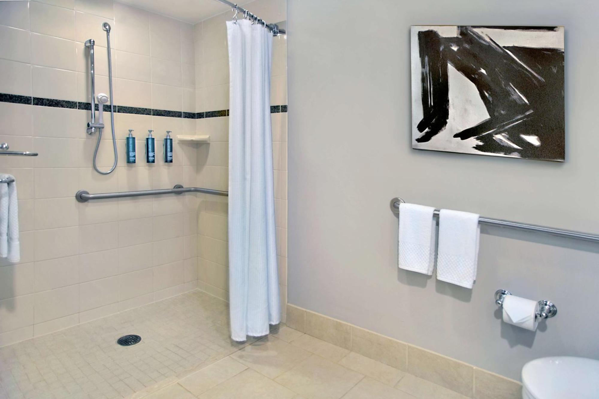 Deluxe King Room Roll Shower Mobility Hearing Access or Non-Smoking
