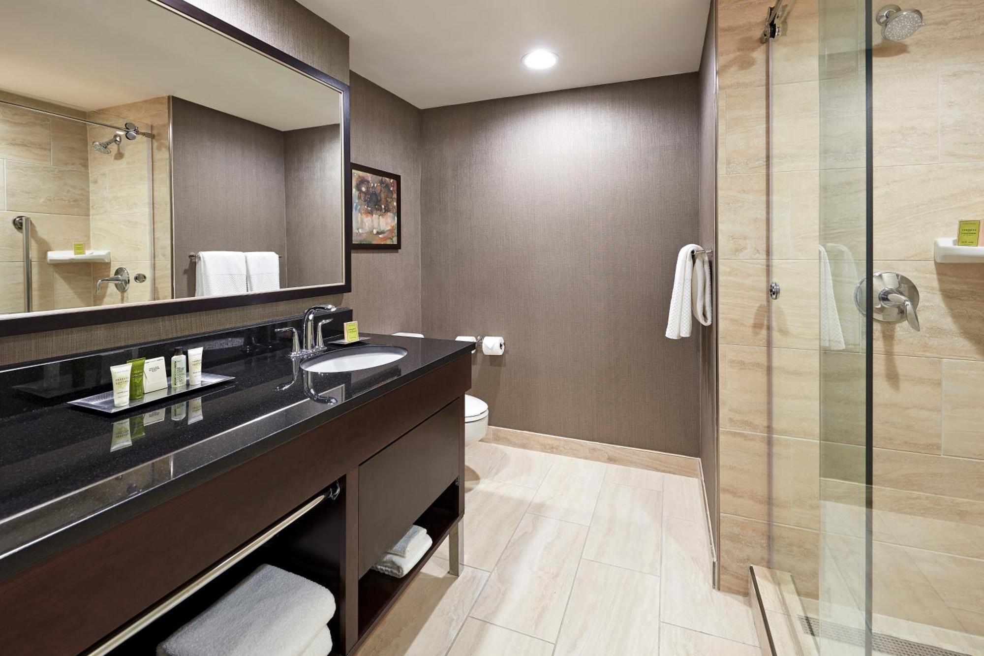 One-Bedroom King Suite
