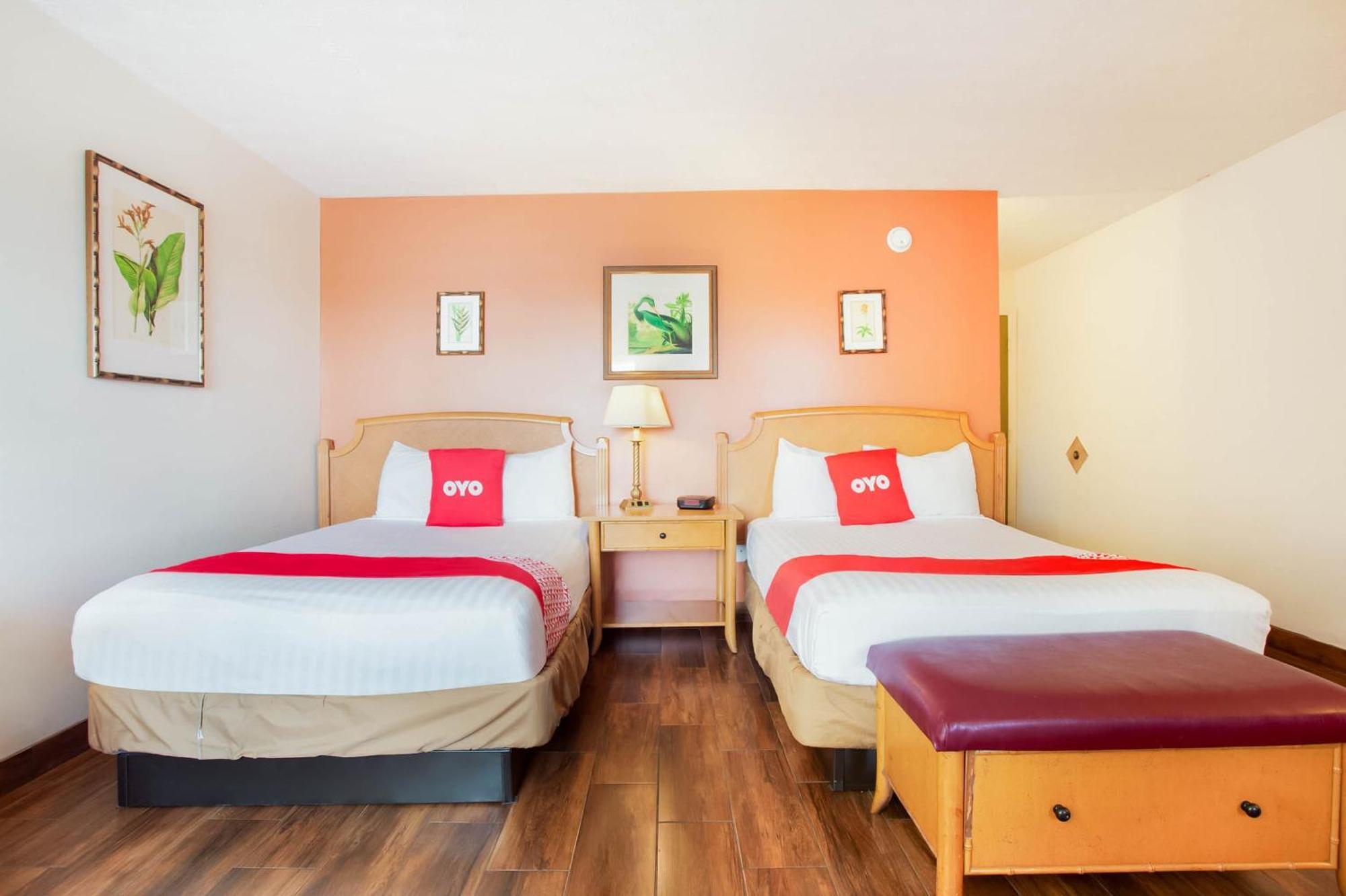 Premium 2 Queen Bed
