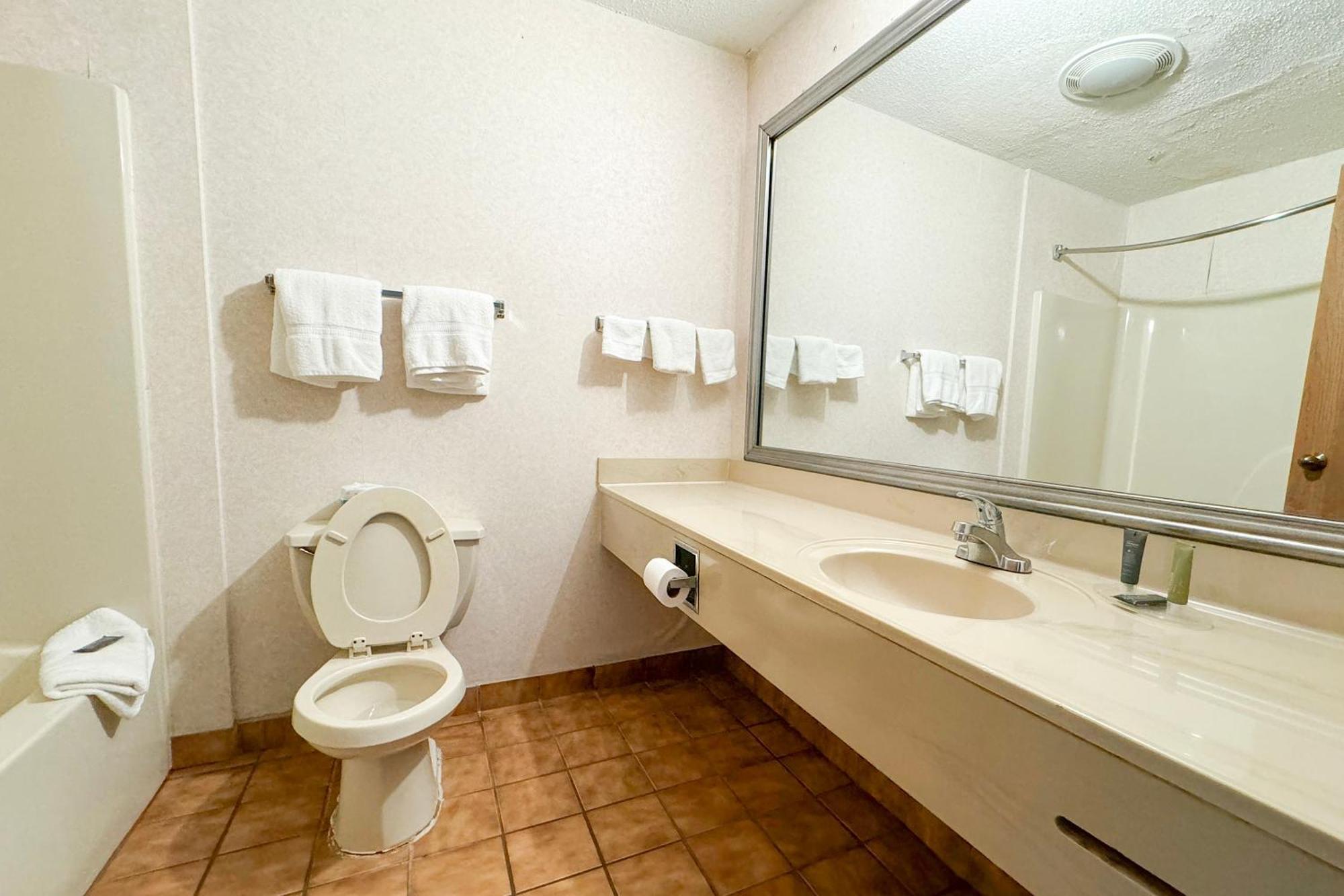 Premium King Bed Non-Smoking Jetted Tub
