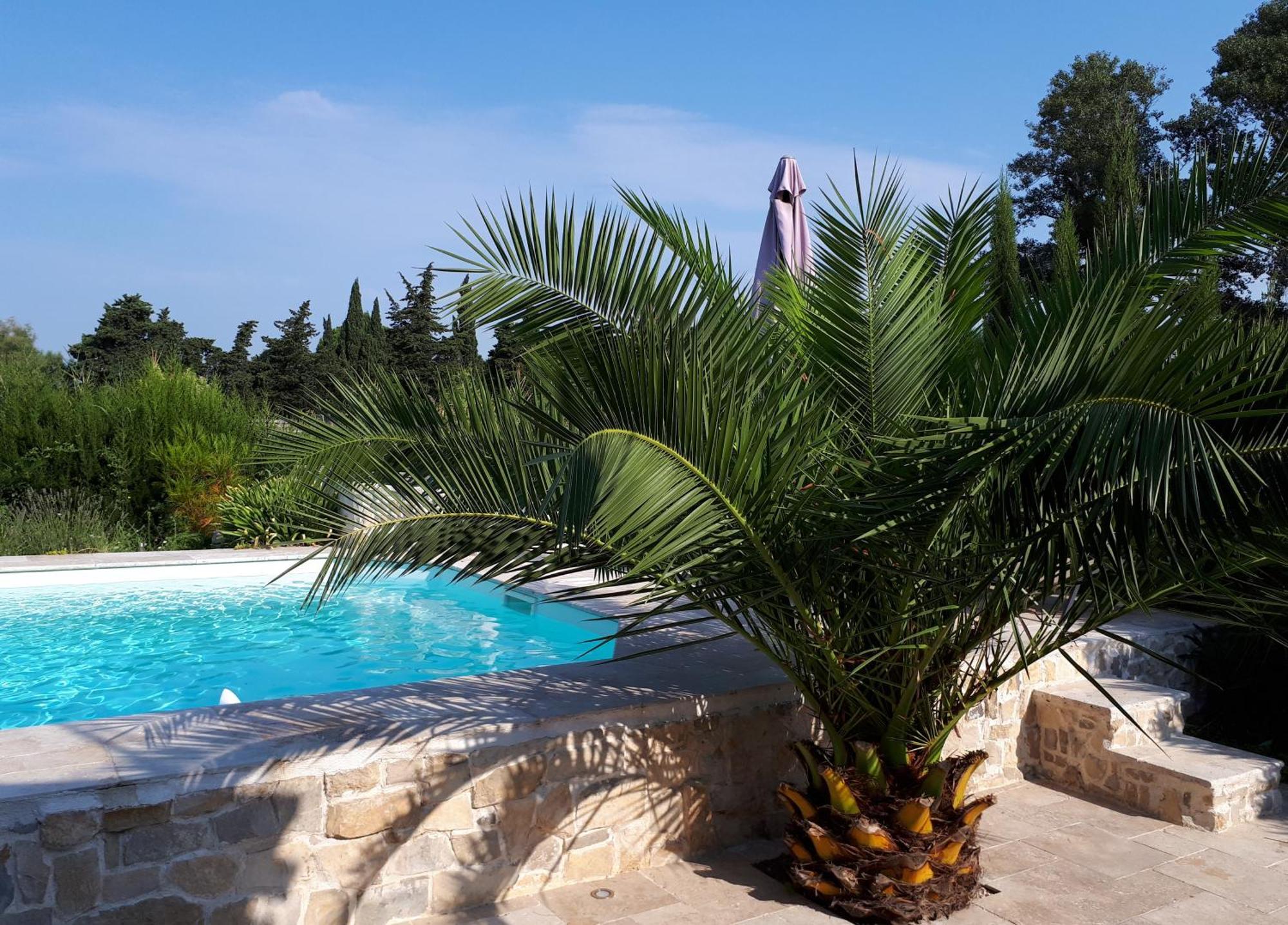 Double Room Pool View