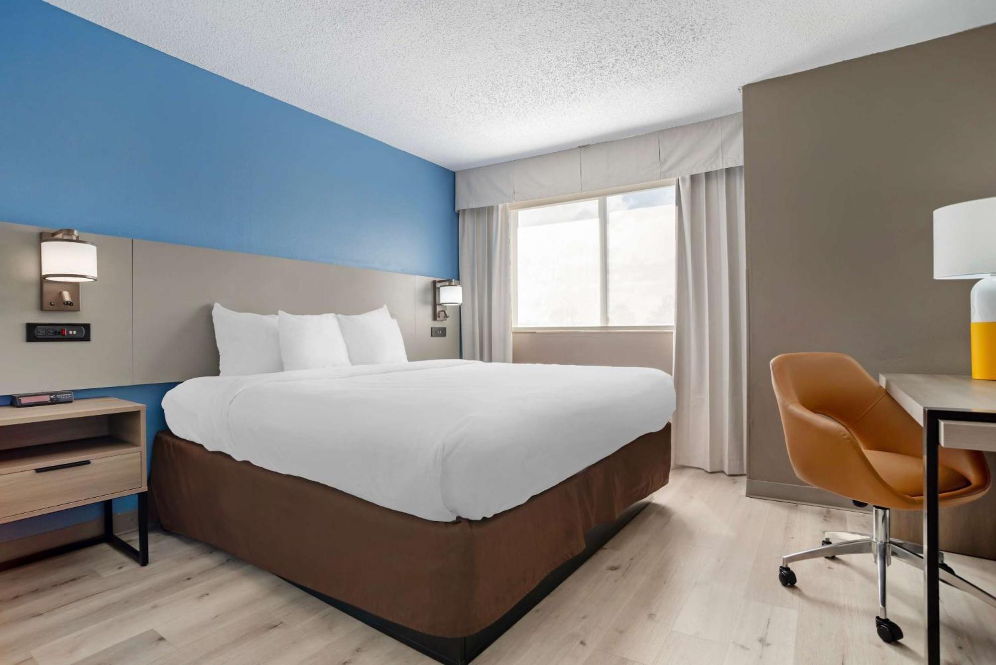 1 King Bed 2 Person Sofabed