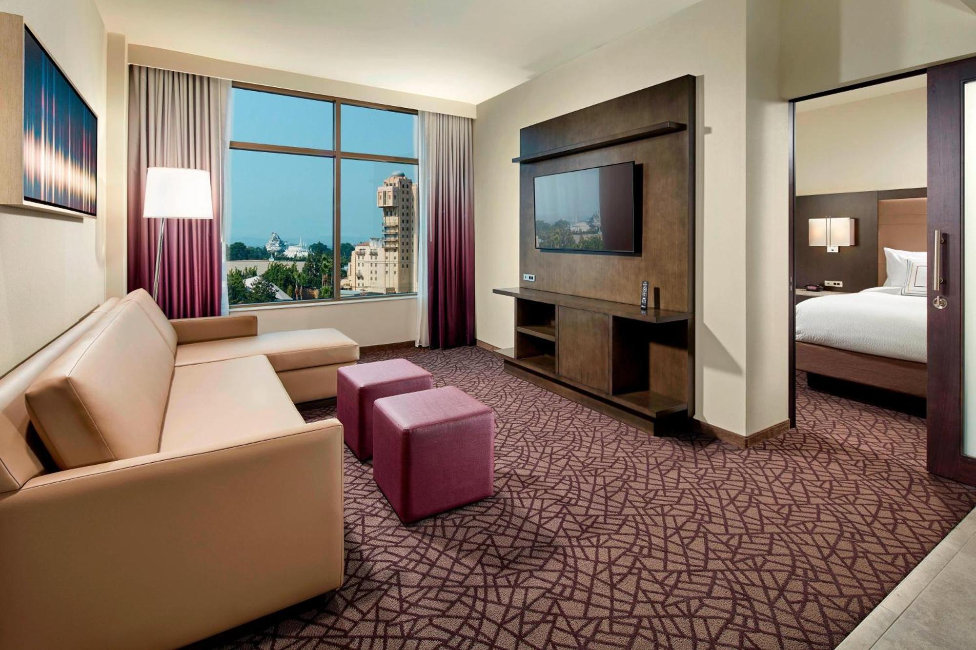 One Bedroom 1 King City View Suite Sofa Bed