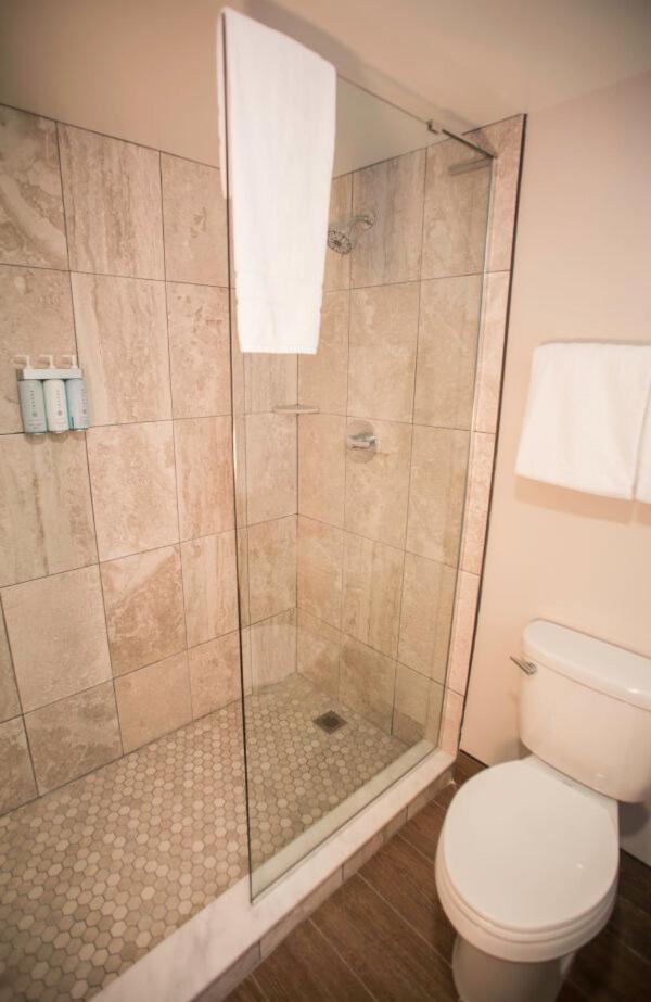 Premium Mountain View Two Queen Beds