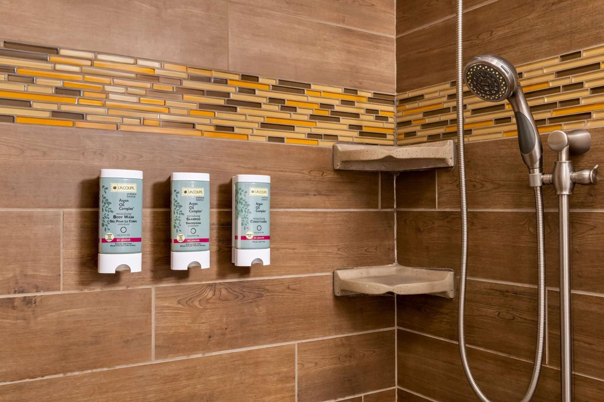 King Room Roll Shower Mobility Access