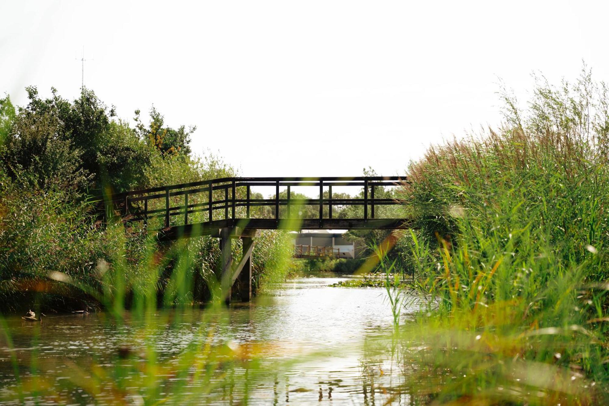 Studio Lake View Pets allowed