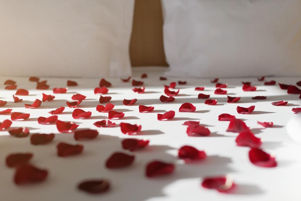 Privilege Double Room Romantic