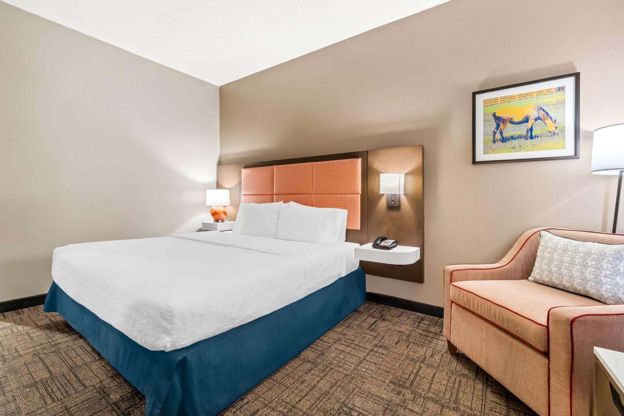 King Room Mobility Access or Non-Smoking
