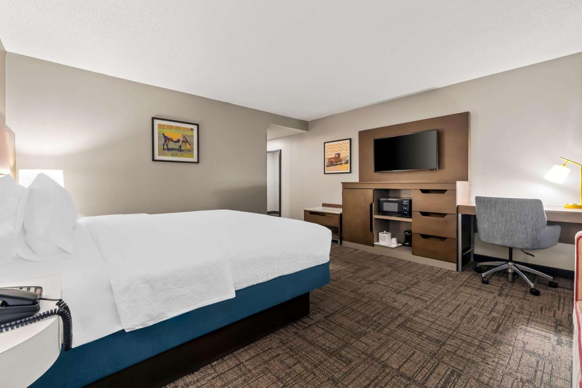 Standard King Room